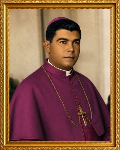 Dom João da Mata